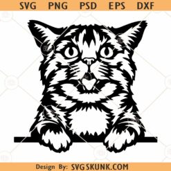 Peeking Kitten SVG, Cat SVG, Peeking Cat SVG, Cute Cat SVG, Curious Kitten Clipart svg