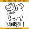 Squirrel Dug Dog SVG, Up Movie Svg, dug from UP SVG, Dug the dog SVG