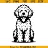 Goldendoodle Dog Sitting SVG, Goldendoodle dog svg, doodle mom svg, doodle dog breed svg