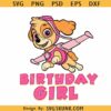 Paw Patrol Skye Birthday Girl SVG, Skye Paw Patrol svg, Paw Patrol birthday svg