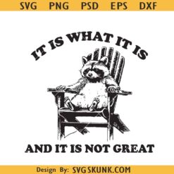 It Is What It Is And It Is Not Great svg, funny Raccoon PNG, Trash Panda Svg, Opossum png