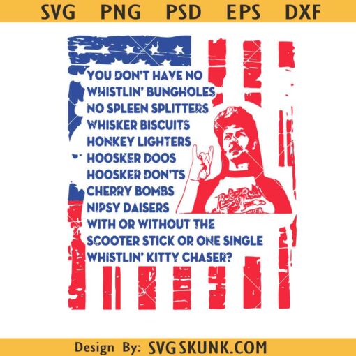 Joe dirt American flag SVG, Joe dirt quote svg, Joe dirt fireworks SVG, 4th of July svg
