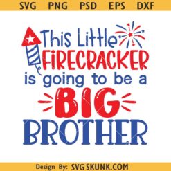 This Little Firecracker Is Going to Be a Big Brother SVG, pregnancy announcement svg