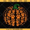 Paws Dog and Cat Pumpkin Svg, Pumpkin Season SVG, Paws Cat Pumpkin Svg, Cat Halloween Svg, Dog Halloween Svg      