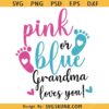 Pink or Blue Grandma loves you SVG, Gender Reveal SVG, Pink or blue gender reveal svg       