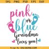 Pink or Blue Grandma loves you SVG, Pink or blue SVG, Boy or girl SVG, Gender Reveal Shirt SVG
