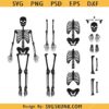 Skeleton Parts SVG, Skeleton Svg, Skull Svg, Skeleton Halloween SVG      