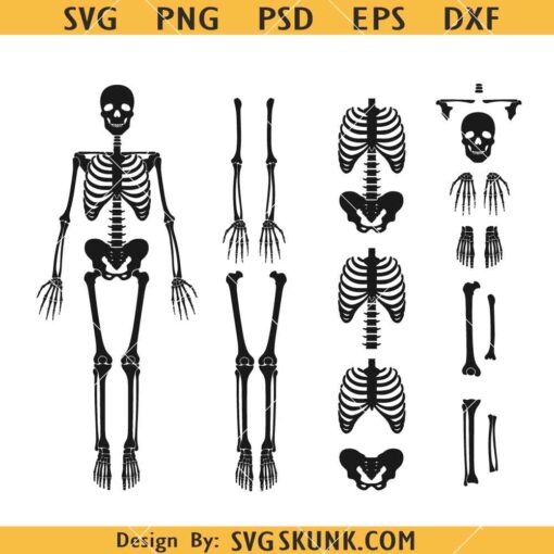 Skeleton Parts SVG, Skeleton Svg, Skull Svg, Skeleton Halloween SVG      
