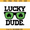 Lucky Dude SVG, Boy St Patrick's Day SVG, Lucky Little Dude SVG