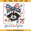 Feral but free raccoon svg, Feral but free png, Stay Trashy America Svg, Raccoon 4th Of July Svg