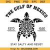Gulf of Mexico Stay Salty Resist SVG, Gulf of Mexico svg png, Anti trump shirt svg png