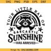 Your little ray of sarcastic sunshine raccoon svg png, funny raccoon svg, sassy raccoon svg png