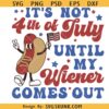 It's Not 4th Of July Until My Wiener Comes Out svg, America svg, 4th Of July svg