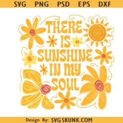 There is sunshine in my soul svg png, Floral Summer Vibes Png, Boho Summer svg