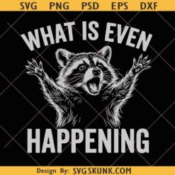 What is Even Happening Png, Funny Raccoon Png, Sarcastic Meme Png