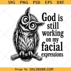 God is Still Working On My Facial Expressions svg png, funny owl Christian png